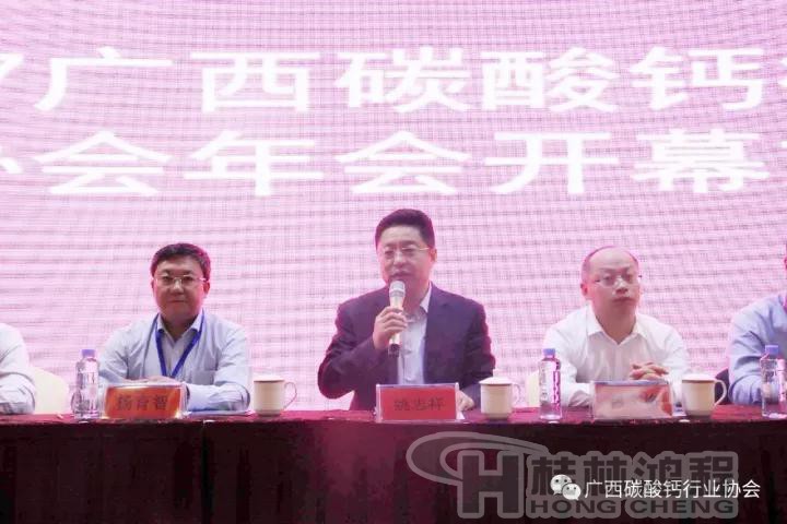 來賓市人民政府副市長羅勇 來賓市人民政府副市長羅勇